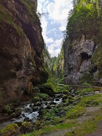 Scenic view of waterfall