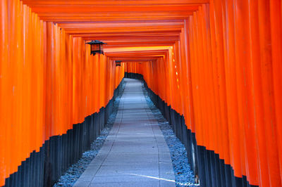 One thousand torii