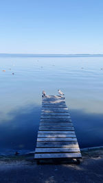 Pier over sea against clear sky