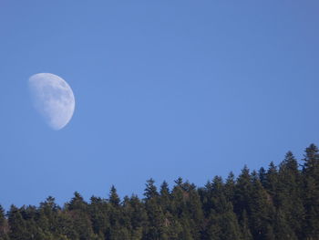 Low angle view of moon against clear blue sky