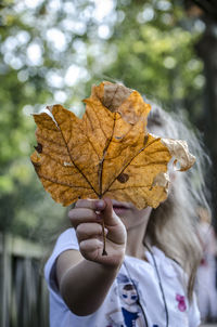 Close-up of dry autumn leaf