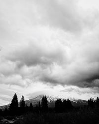 Scenic view of forest against sky