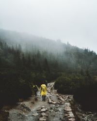 Rear view of people walking on mountain in forest during foggy weather