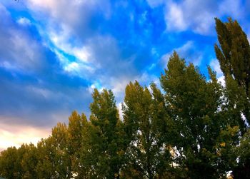 Low angle view of trees against cloudy sky