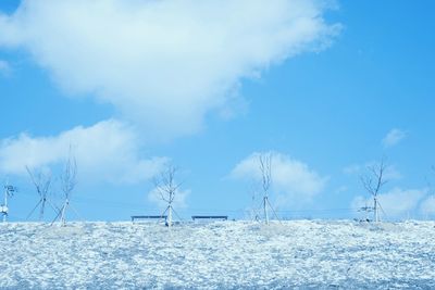 Frozen field against blue sky