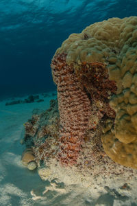 High angle view of sea