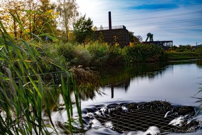 Scenic view of river by trees against sky