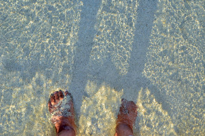 Low section of person standing on beach