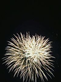 Low angle view of firework display at night