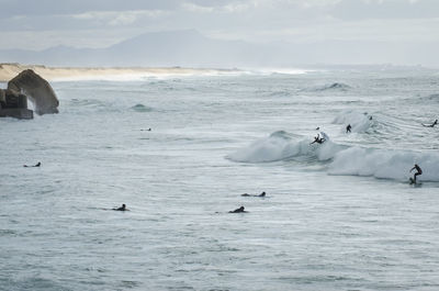 Surfers in sea