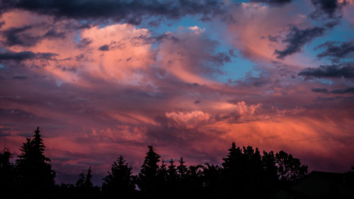 Silhouette trees against sky at sunset