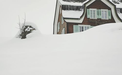 Snow covered landscape