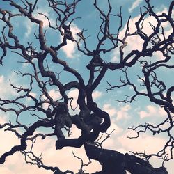 Low angle view of bare tree against sky