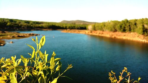 Scenic view of river against clear sky