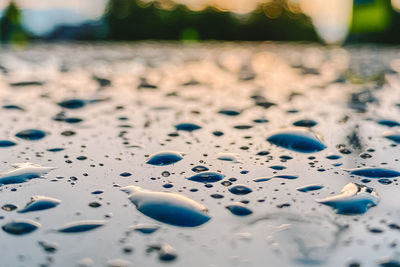 Close-up of wet stones on land