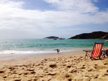 Scenic view of beach against sky