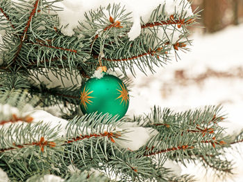 Green christmas ball hanging on a snow-covered branch of a christmas tree 