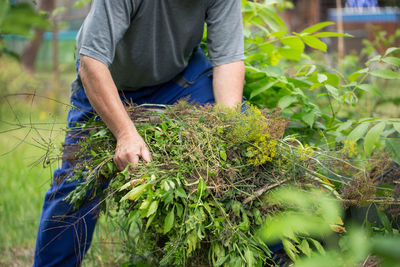 Midsection of man holding plants outdoors