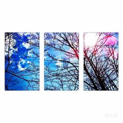 Low angle view of bare trees