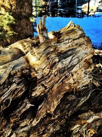 Rock formations on landscape