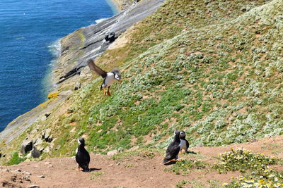 People on rock by sea