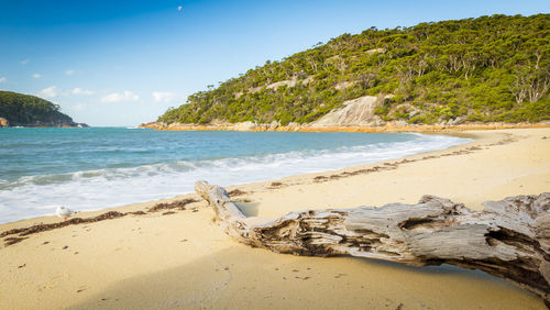 Scenic view of beach against sky