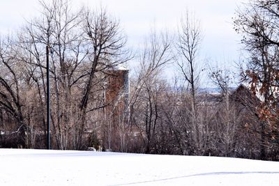 Bare trees against sky during winter