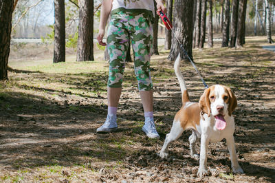 Low section of woman with dog at park