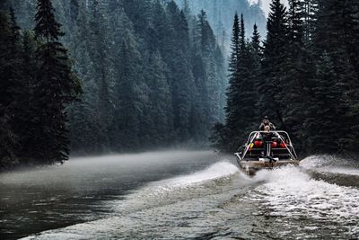 Scenic view of river flowing in forest