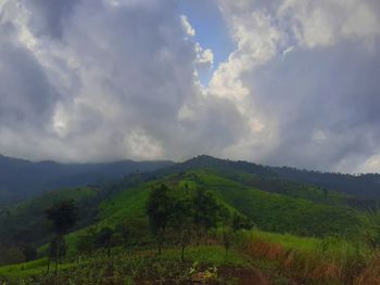 Scenic view of field against sky