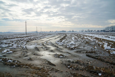 Rice field landscape in winter in north italy