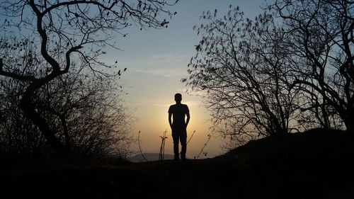 Silhouette man standing on bare tree against sky during sunset