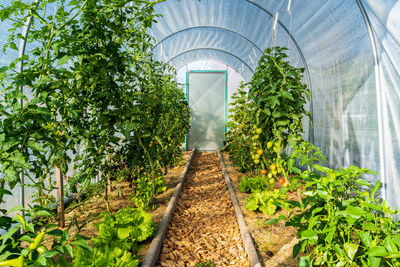Low angle view of railroad track