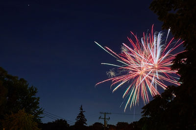 Low angle view of firework display and trees against sky at night
