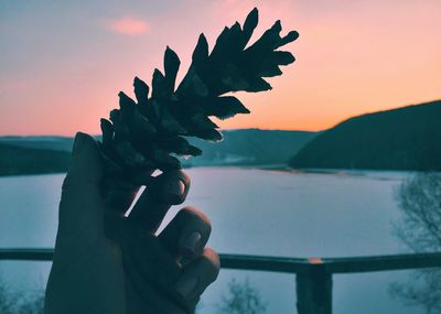 Cropped hand of woman holding pine cone at lake against sky during sunset