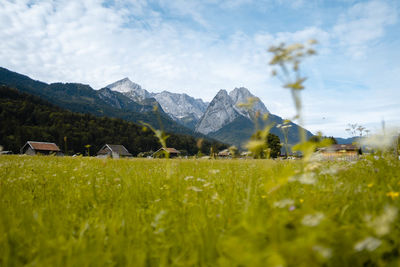 Scenic view of field against mountains