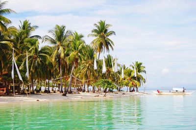 Palm trees by sea against cloudy sky