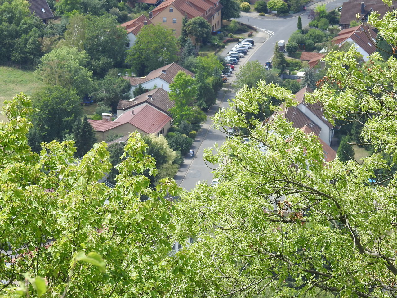 HIGH ANGLE VIEW OF TOWNSCAPE AMIDST TREES AND PLANTS