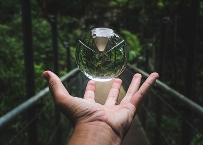 Close-up of hand holding crystal ball