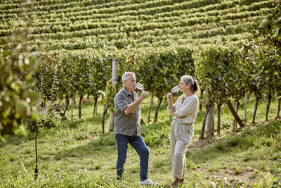 Mature man and woman drinking wine in vineyard