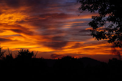 Silhouette trees against dramatic sky during sunset