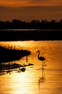 Scenic view of lake at sunset