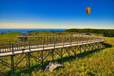 Low angle view of hot air balloons against sky