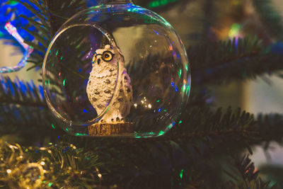 Close-up of christmas ornaments on tree