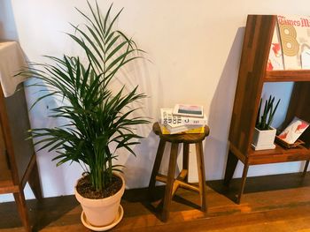 Potted plants on table at home