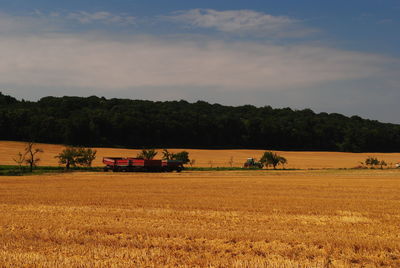 Scenic view of agricultural field against sky