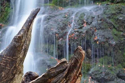 Panoramic view of waterfall in forest