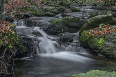 Scenic view of waterfall in forest