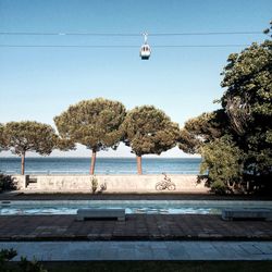 Birds flying over swimming pool against clear sky