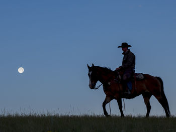 Cowboy riding horse on field against sky